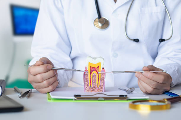 Best Root Canal Emergency Dentist  in Blakely, GA